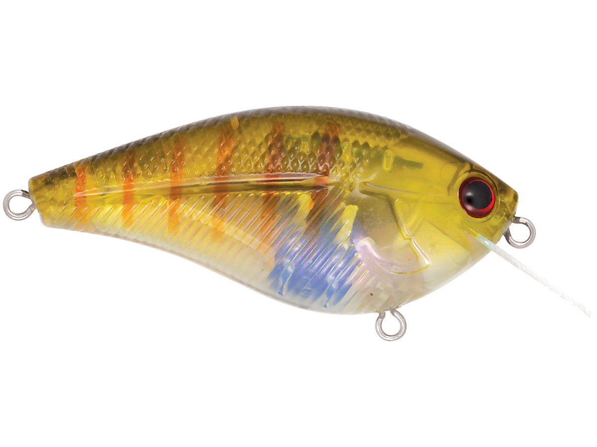 Primetyme SQ 2.0 - Taylor Holler Tackle Co.