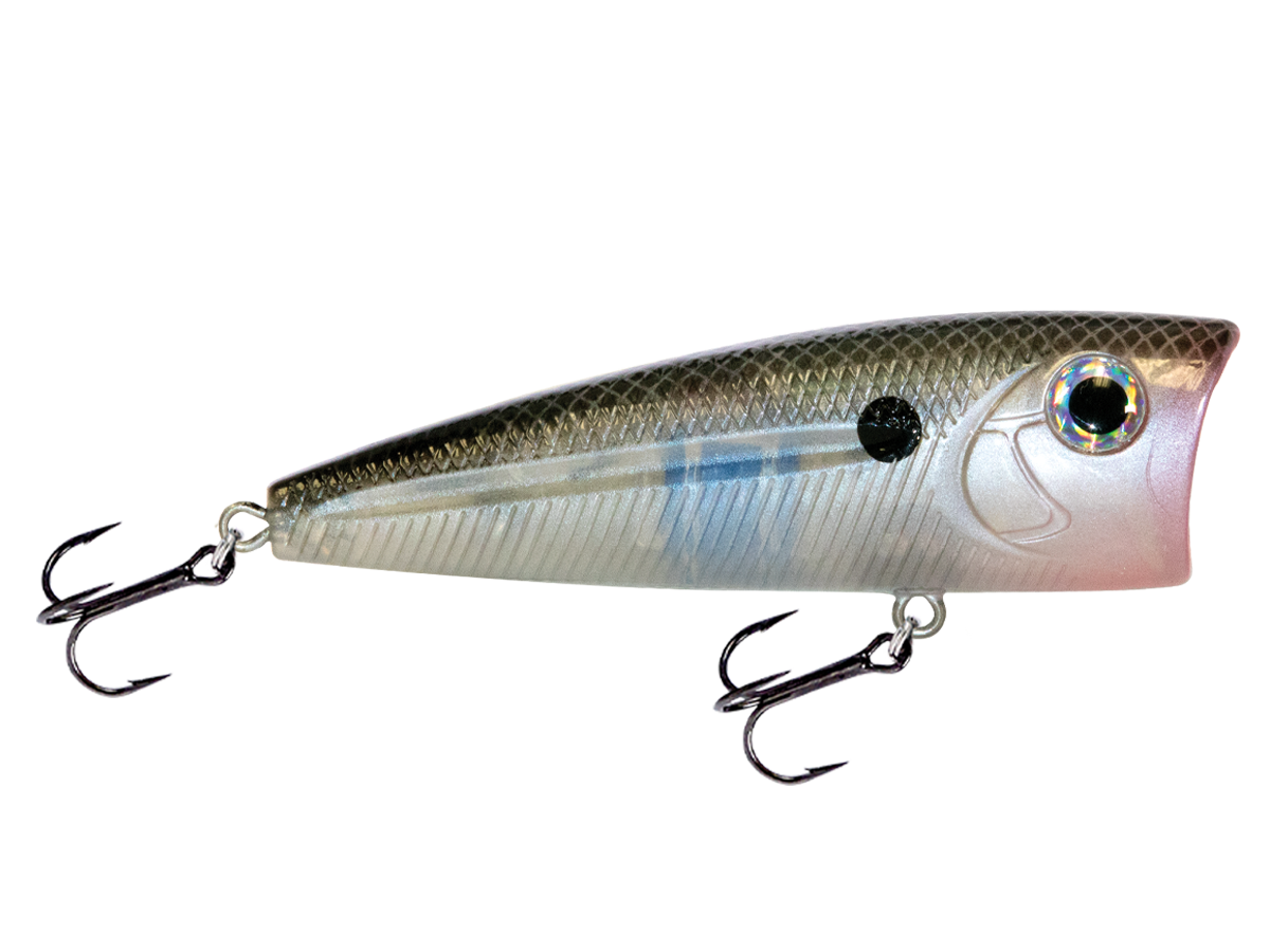 WALK N POP 77 - Taylor Holler Tackle Co.