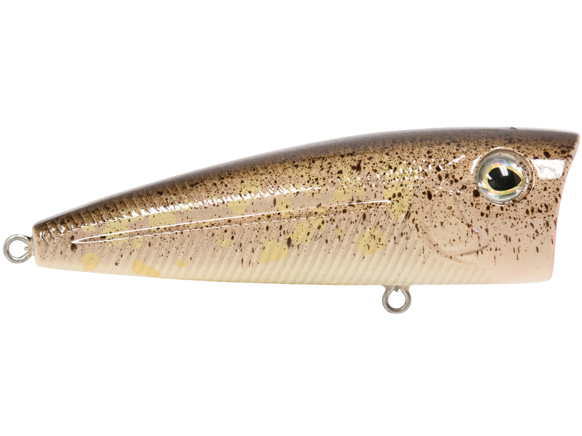 WALK N POP 77 - Taylor Holler Tackle Co.