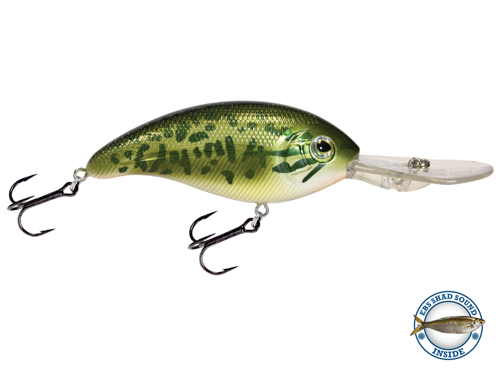 Deep Impact 18 - Taylor Holler Tackle Co.