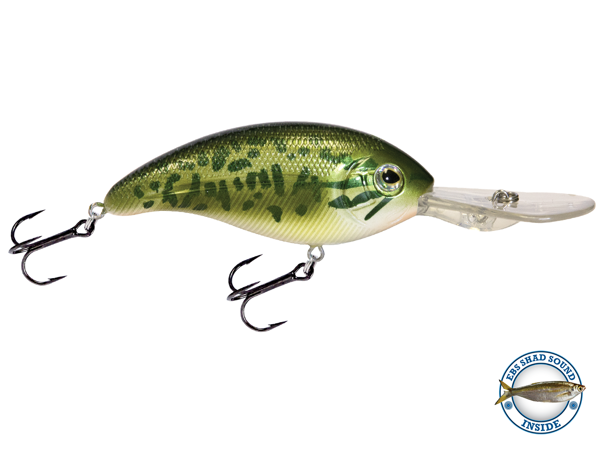 Deep Impact 18 - Taylor Holler Tackle Co.