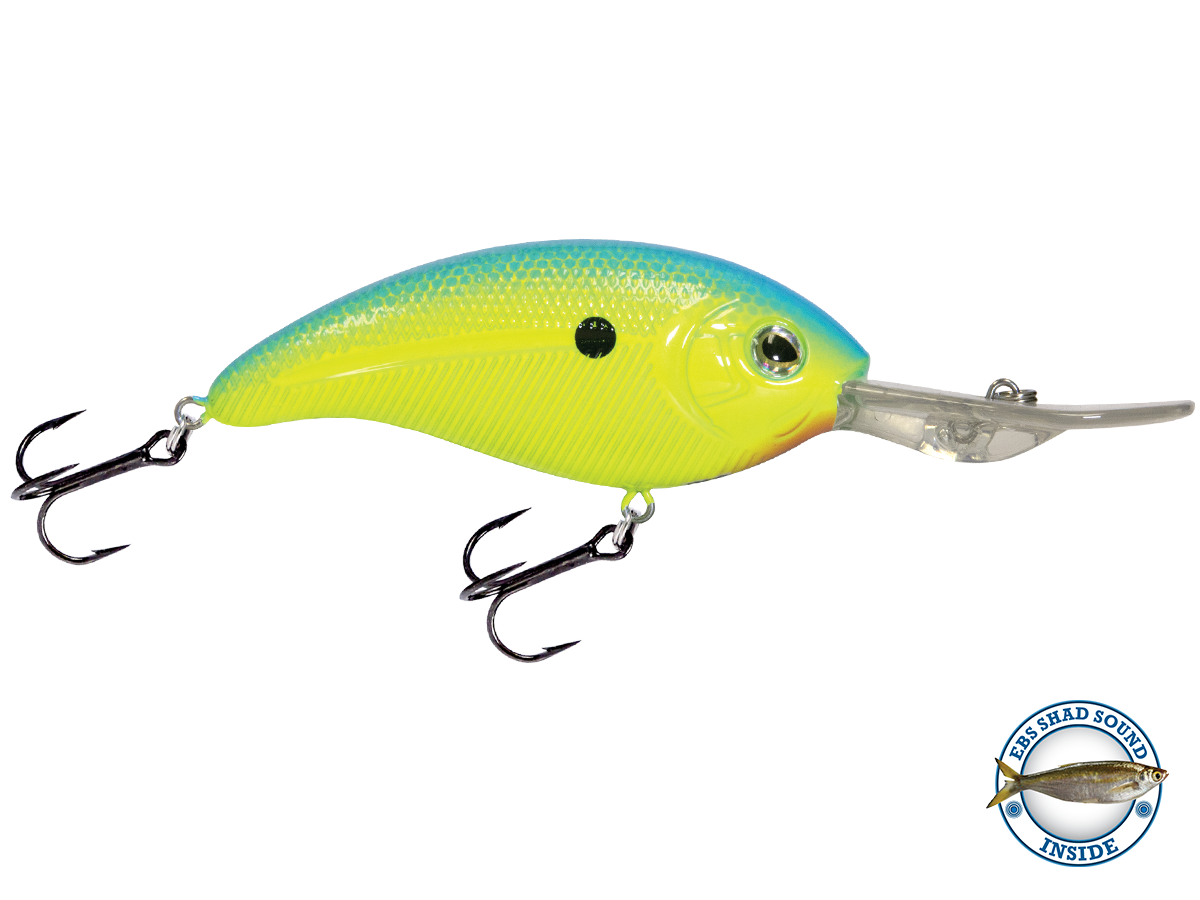 Deep Impact 18 - Taylor Holler Tackle Co.