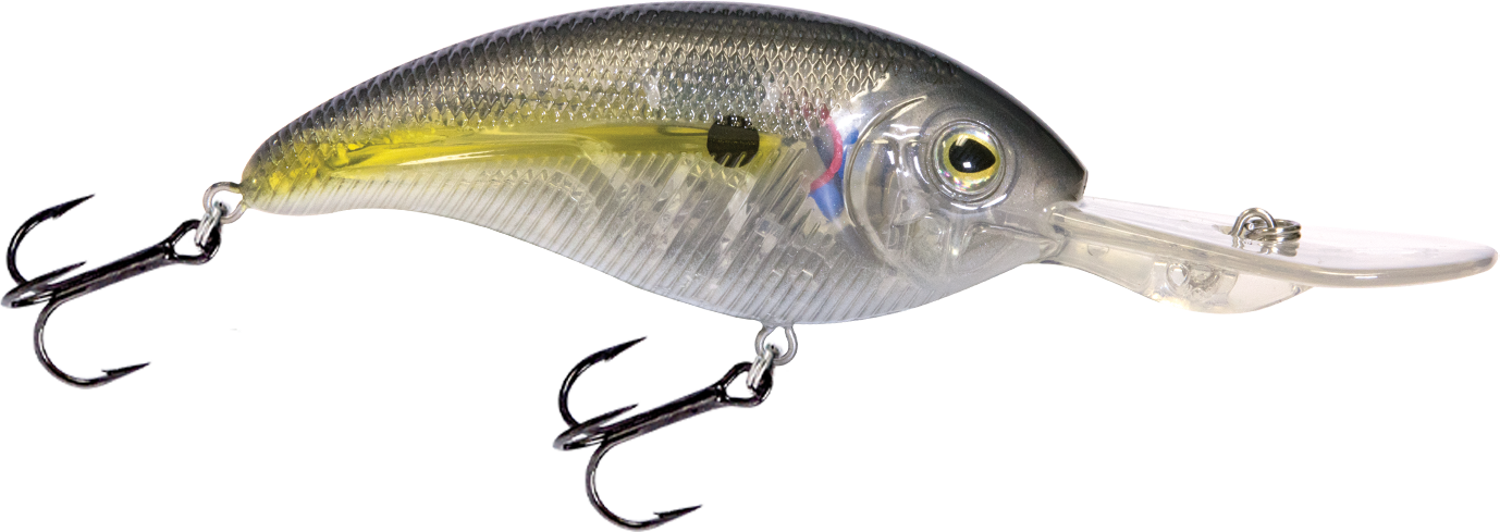 Deep Impact 18 - Taylor Holler Tackle Co.