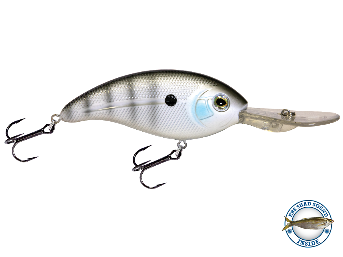 Deep Impact 18 - Taylor Holler Tackle Co.