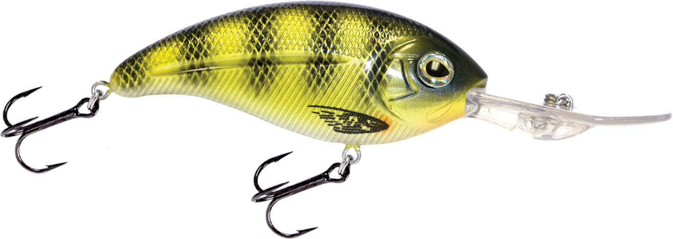 Deep Impact 18 - Taylor Holler Tackle Co.
