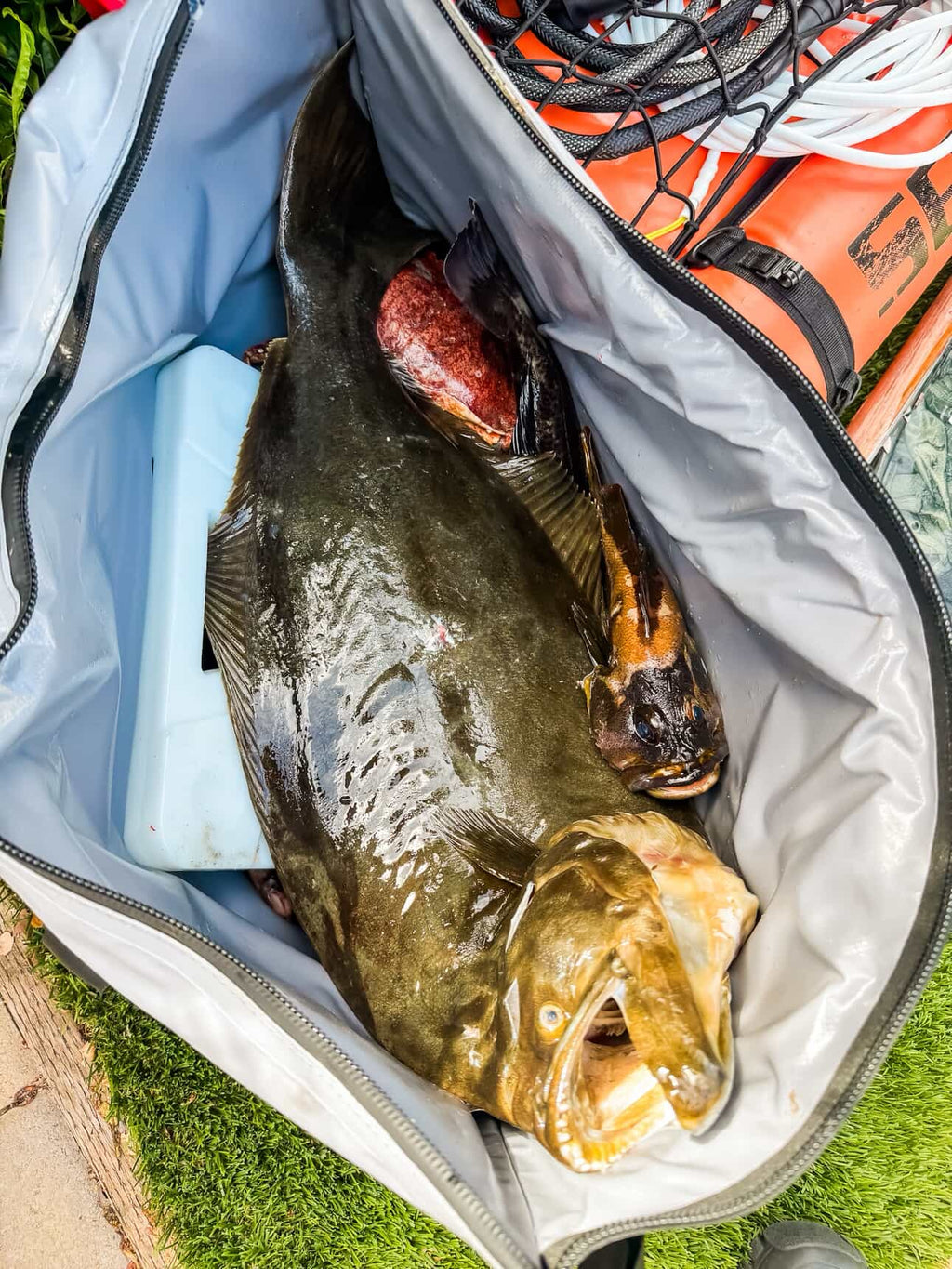45QT Fish Cooler Bag With Flat Bottom - Taylor Holler Tackle Co.