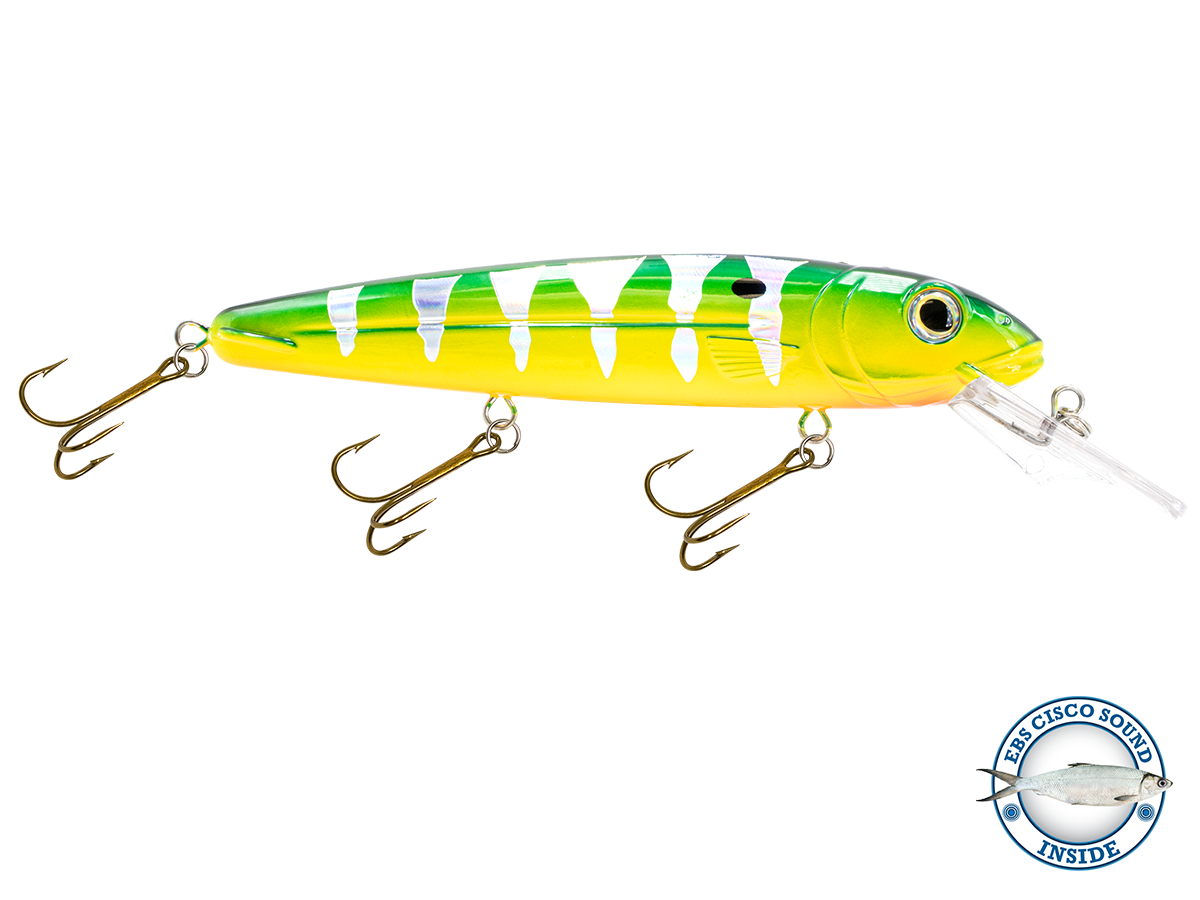Rachel (Suspending) 8" - Taylor Holler Tackle Co.
