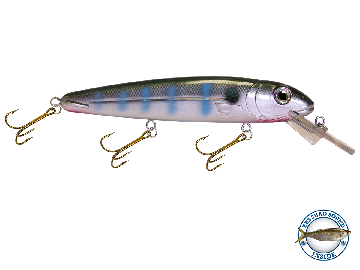 Rachel (Suspending) 8" - Taylor Holler Tackle Co.