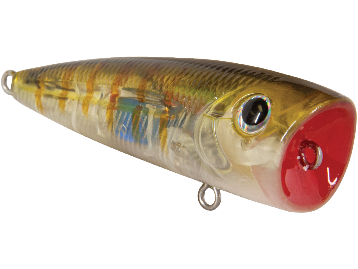 Walk N Pop 67 - Taylor Holler Tackle Co.