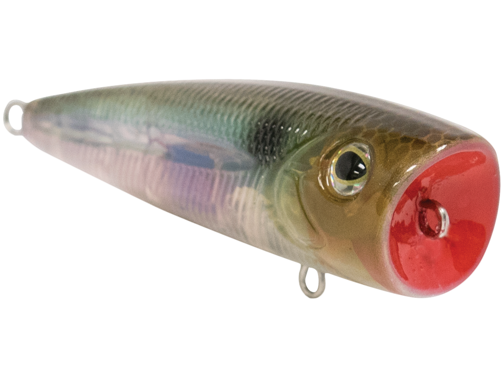 Walk N Pop 67 - Taylor Holler Tackle Co.