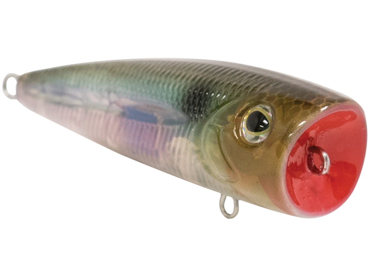 Walk N Pop 67 - Taylor Holler Tackle Co.