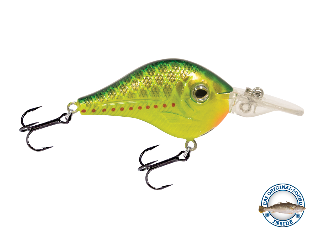 Shredder 53 - Taylor Holler Tackle Co.