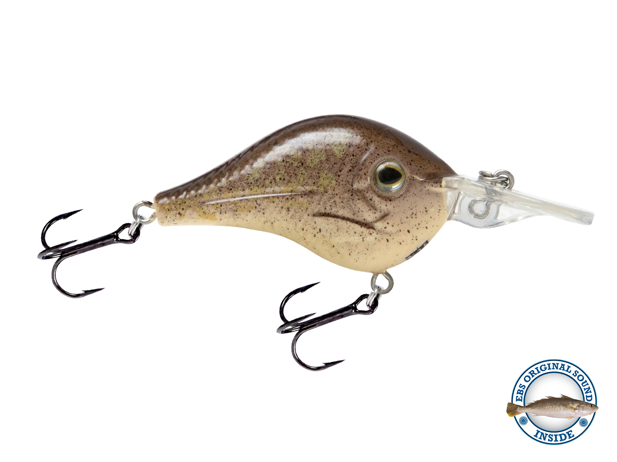 Shredder 53 - Taylor Holler Tackle Co.