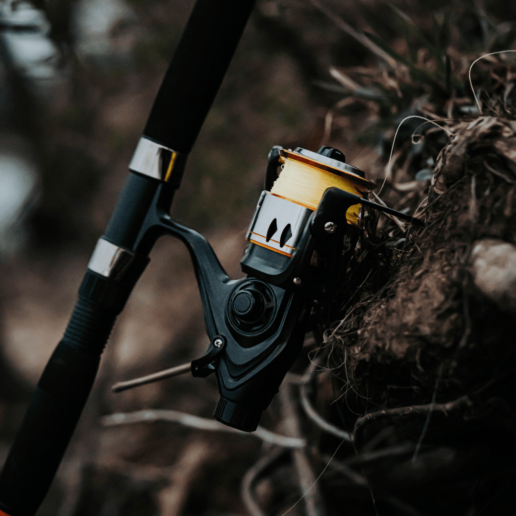 600STS Spinning Reel - Taylor Holler Tackle Co.
