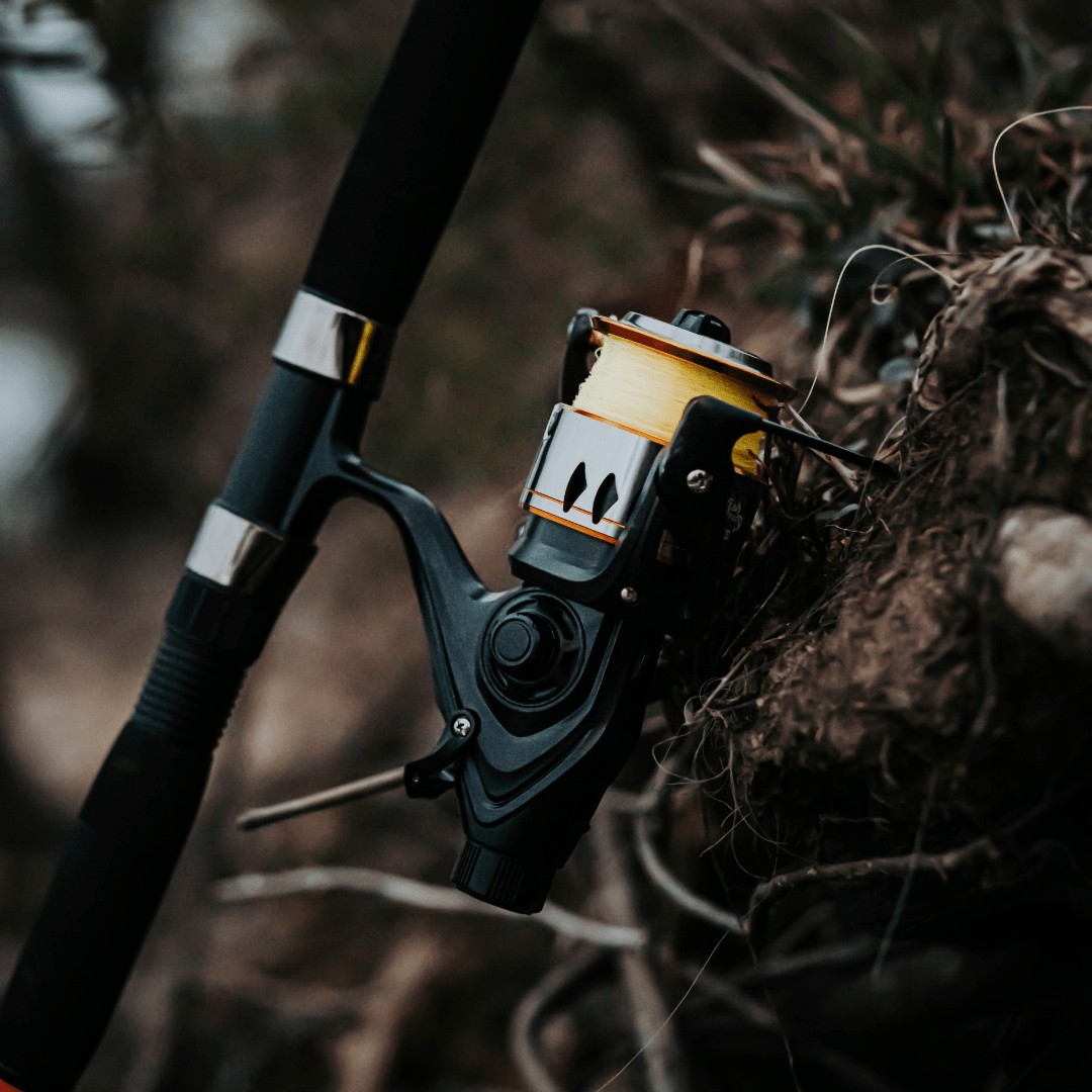 600STS Spinning Reel - Taylor Holler Tackle Co.