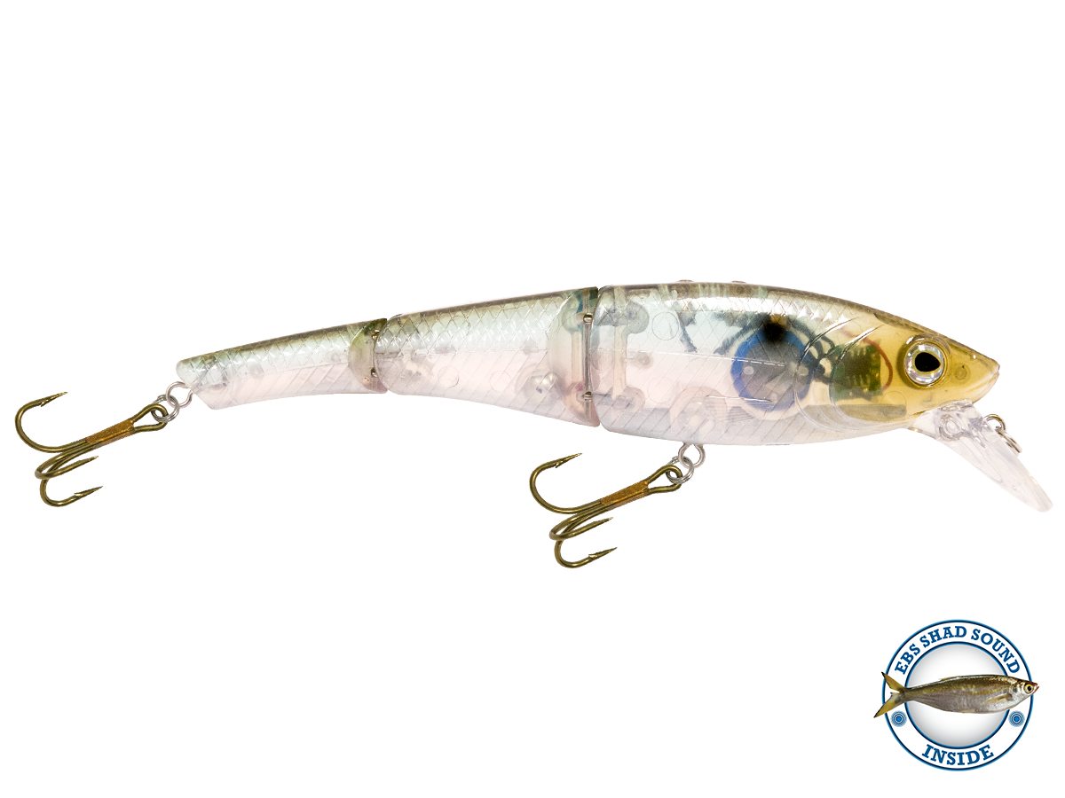 Head Hunter 6" - Taylor Holler Tackle Co.