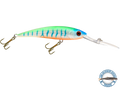 Interceptor - Taylor Holler Tackle Co.
