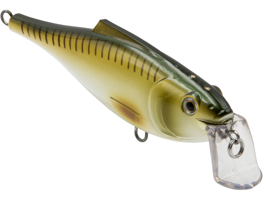 BullDozer SW - Taylor Holler Tackle Co.