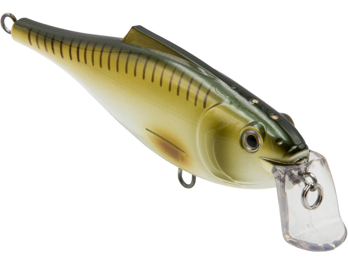 BullDozer SW - Taylor Holler Tackle Co.