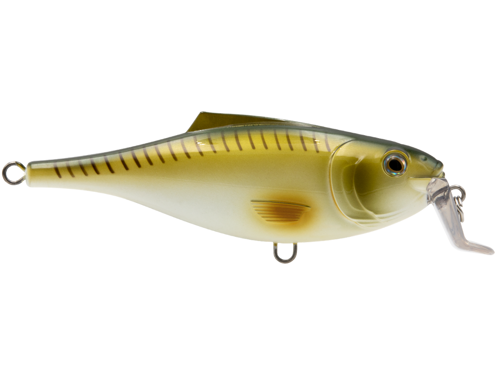 BullDozer SW - Taylor Holler Tackle Co.