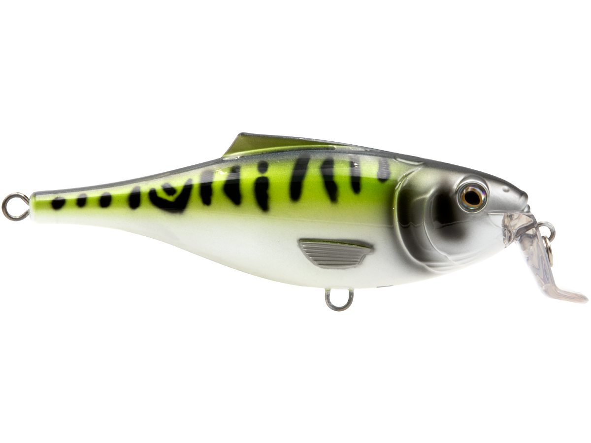 BullDozer SW - Taylor Holler Tackle Co.