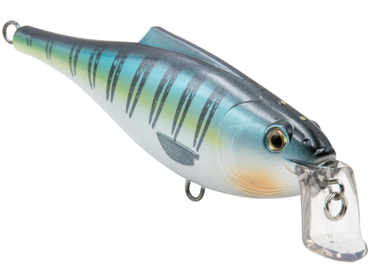 BullDozer SW - Taylor Holler Tackle Co.