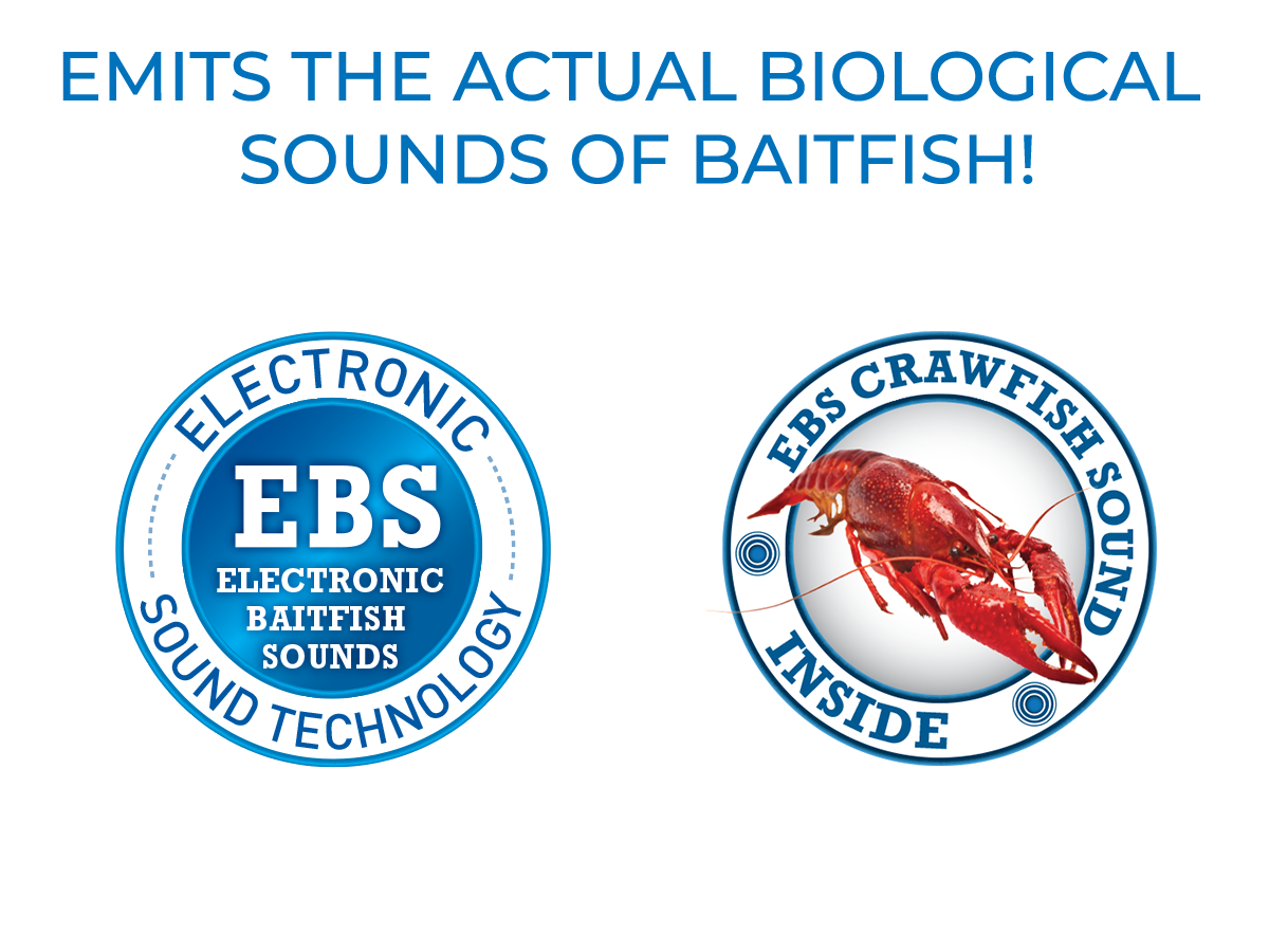 EBS Jigging Spoon - Taylor Holler Tackle Co.