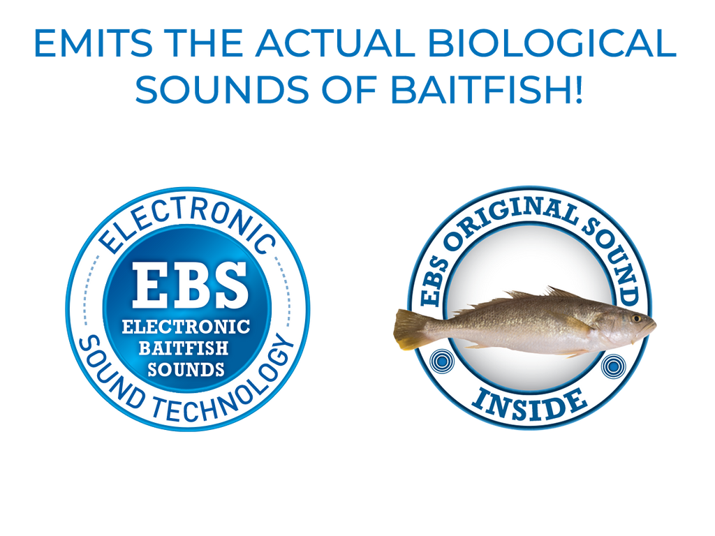 EBS Jigging Spoon - Taylor Holler Tackle Co.