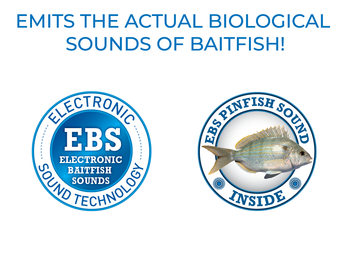 EBS Mullet - Taylor Holler Tackle Co.