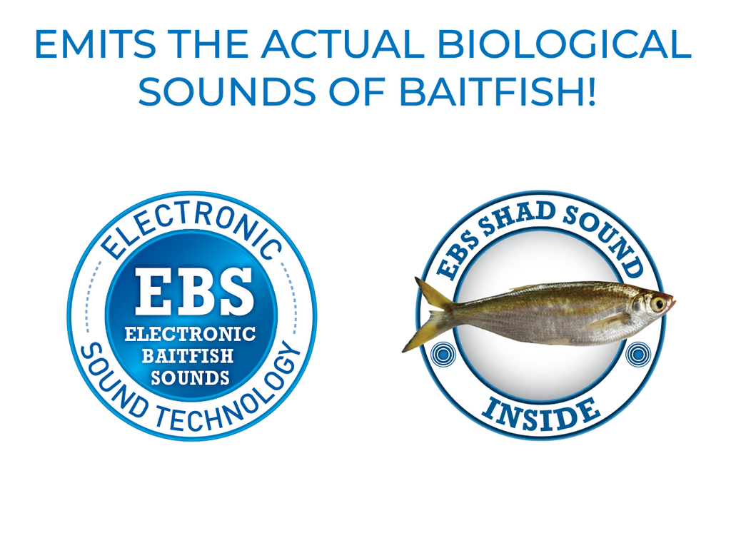EBS Jigging Spoon - Taylor Holler Tackle Co.