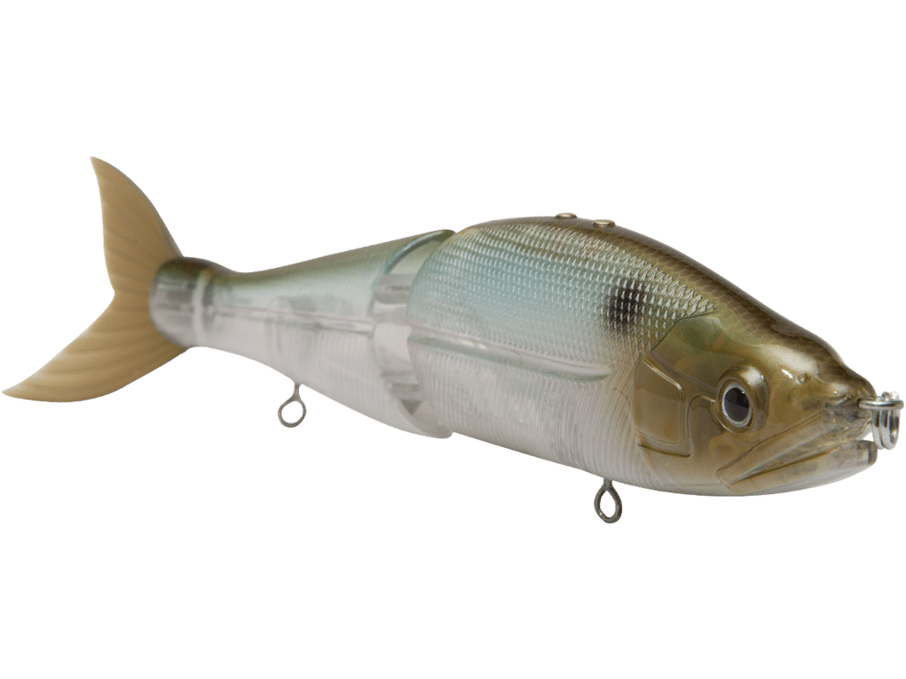 B Venom 6" - Taylor Holler Tackle Co.