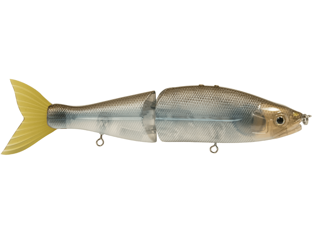 B Venom 6" - Taylor Holler Tackle Co.