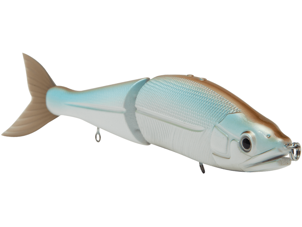 B Venom 6" - Taylor Holler Tackle Co.