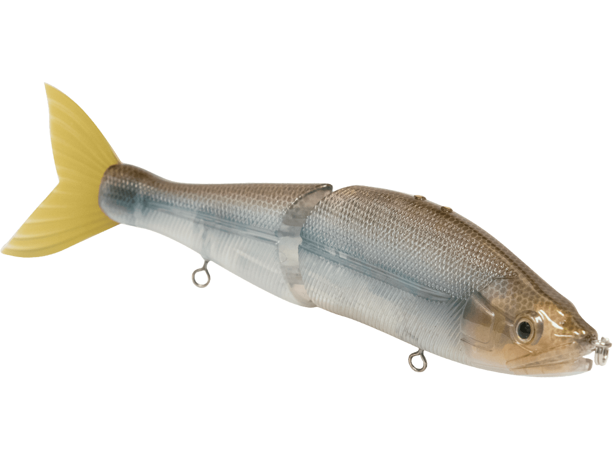 B Venom 6" - Taylor Holler Tackle Co.