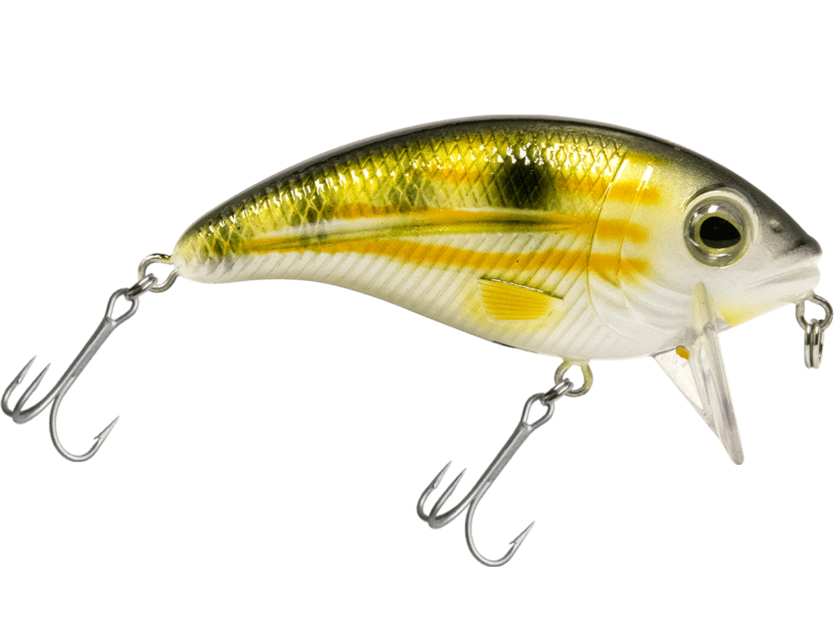 Bull Nose - Taylor Holler Tackle Co.