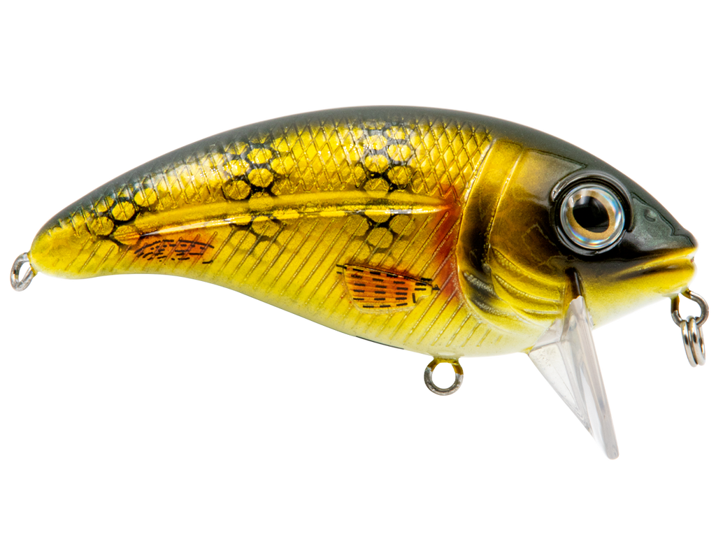 Bull Nose - Taylor Holler Tackle Co.