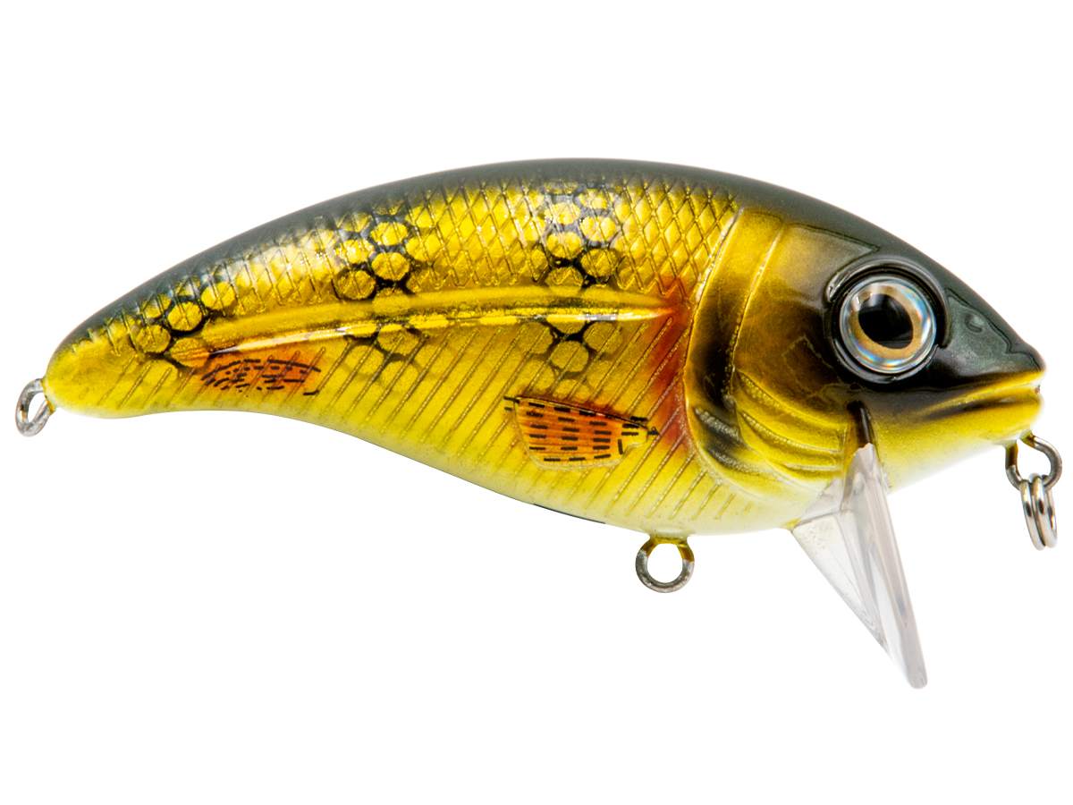 Bull Nose - Taylor Holler Tackle Co.