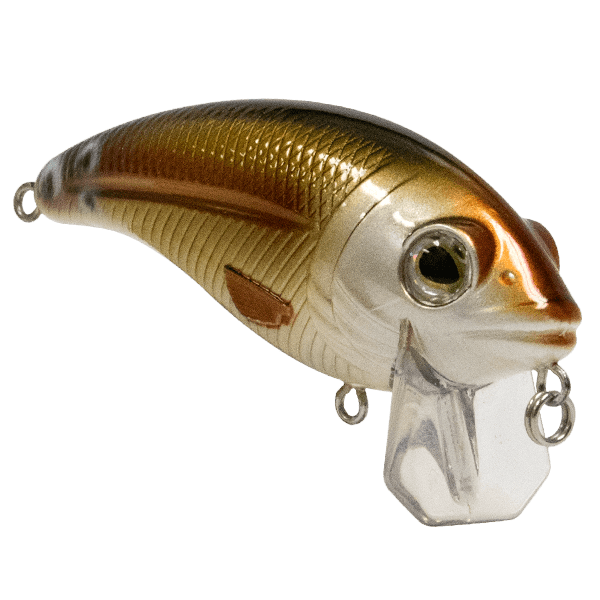 Bull Nose - Taylor Holler Tackle Co.