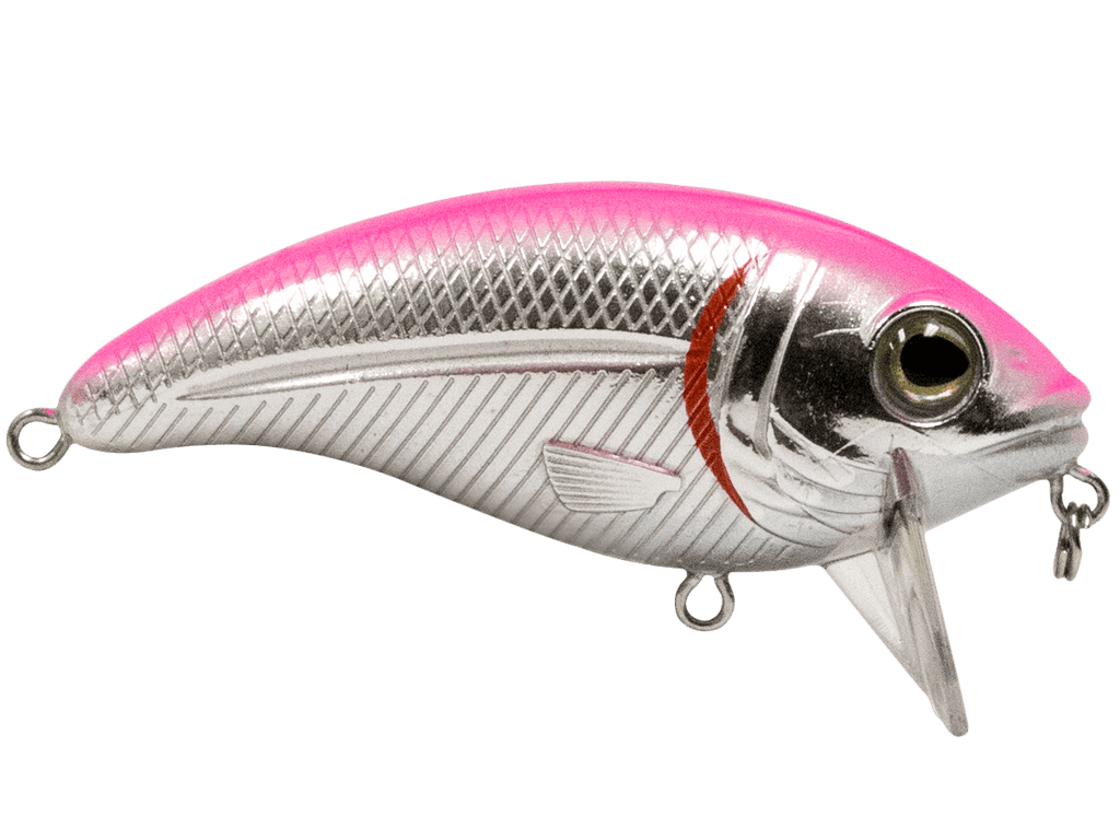 Bull Nose - Taylor Holler Tackle Co.