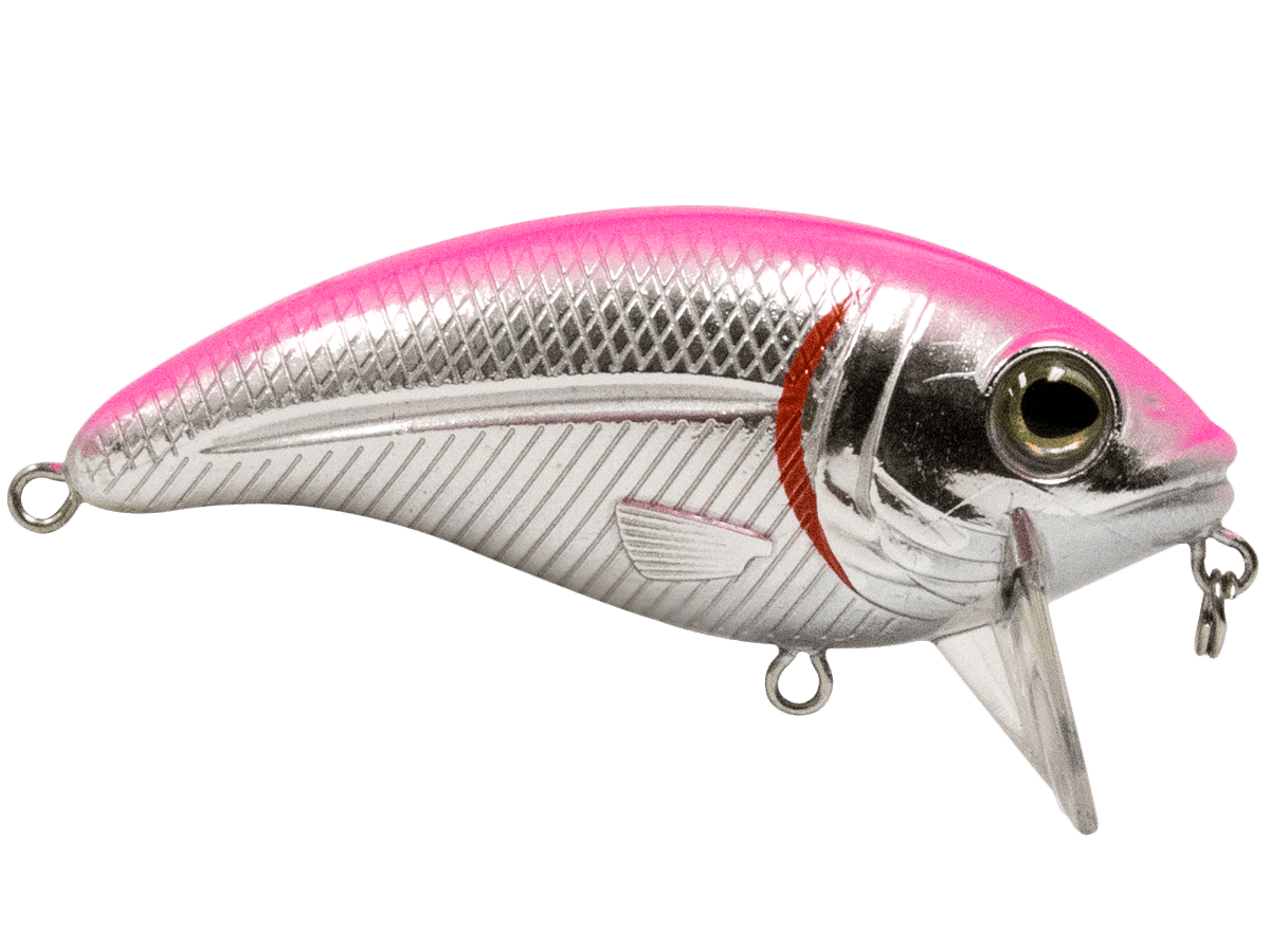 Bull Nose - Taylor Holler Tackle Co.