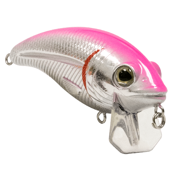 Bull Nose - Taylor Holler Tackle Co.
