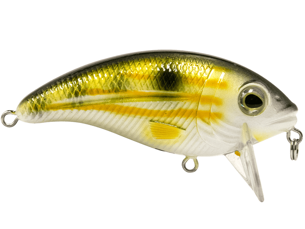 Bull Nose - Taylor Holler Tackle Co.