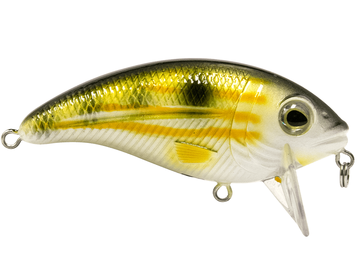 Bull Nose - Taylor Holler Tackle Co.