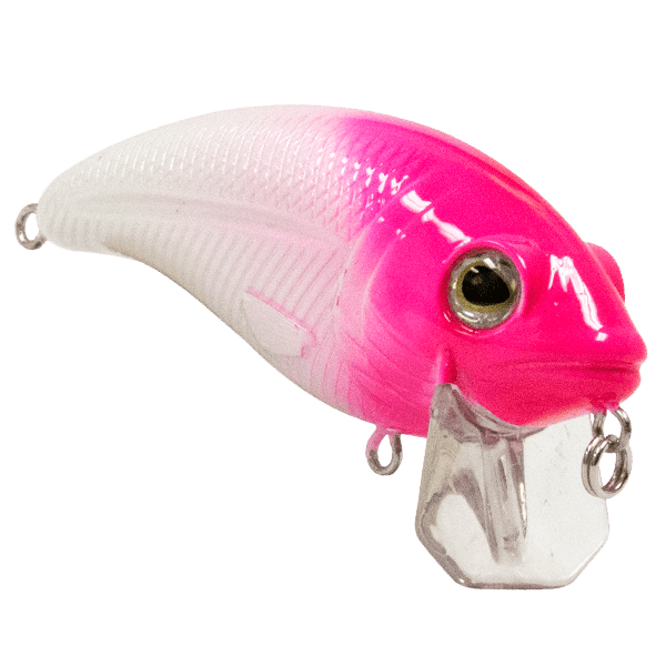 Bull Nose - Taylor Holler Tackle Co.
