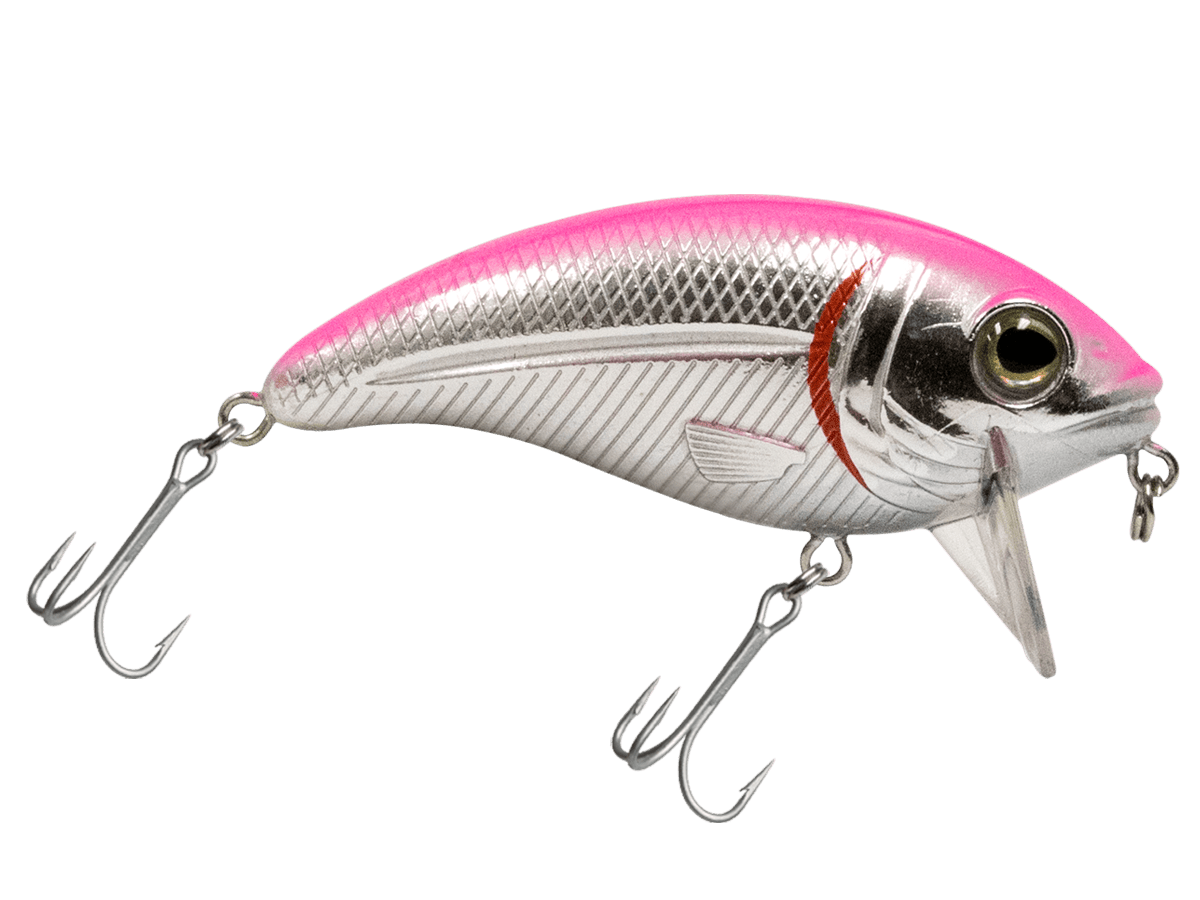 Bull Nose - Taylor Holler Tackle Co.