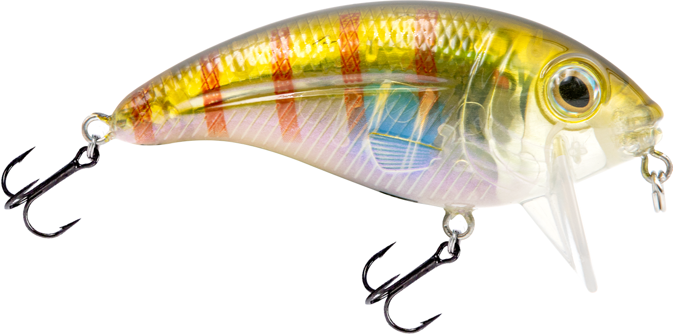 Bull Nose - Taylor Holler Tackle Co.