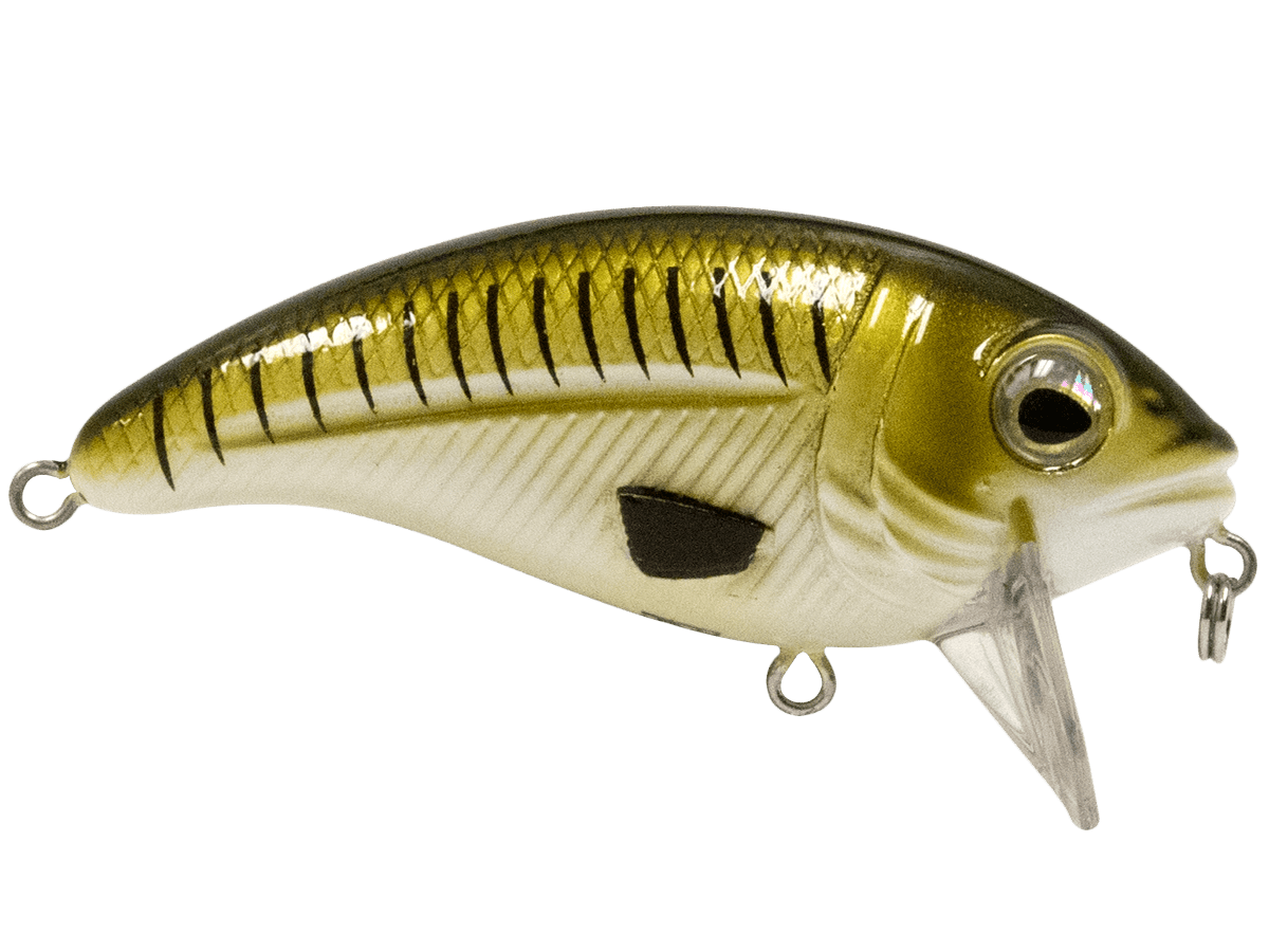 Bull Nose - Taylor Holler Tackle Co.