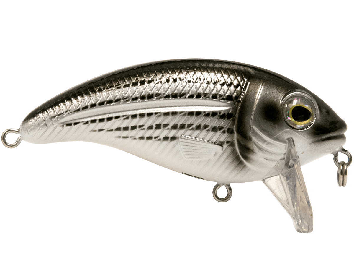Bull Nose - Taylor Holler Tackle Co.