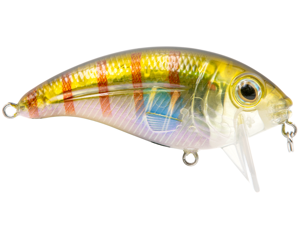 Bull Nose - Taylor Holler Tackle Co.