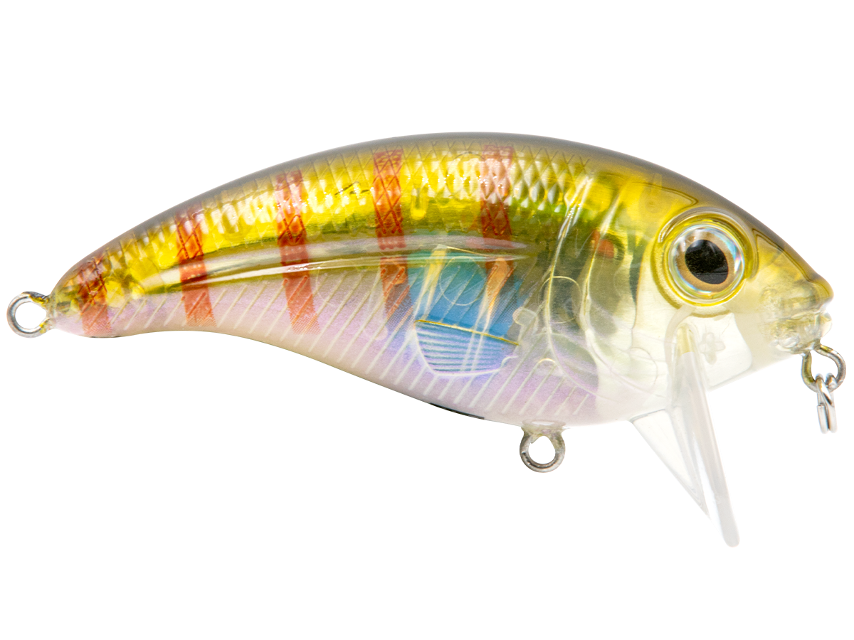 Bull Nose - Taylor Holler Tackle Co.